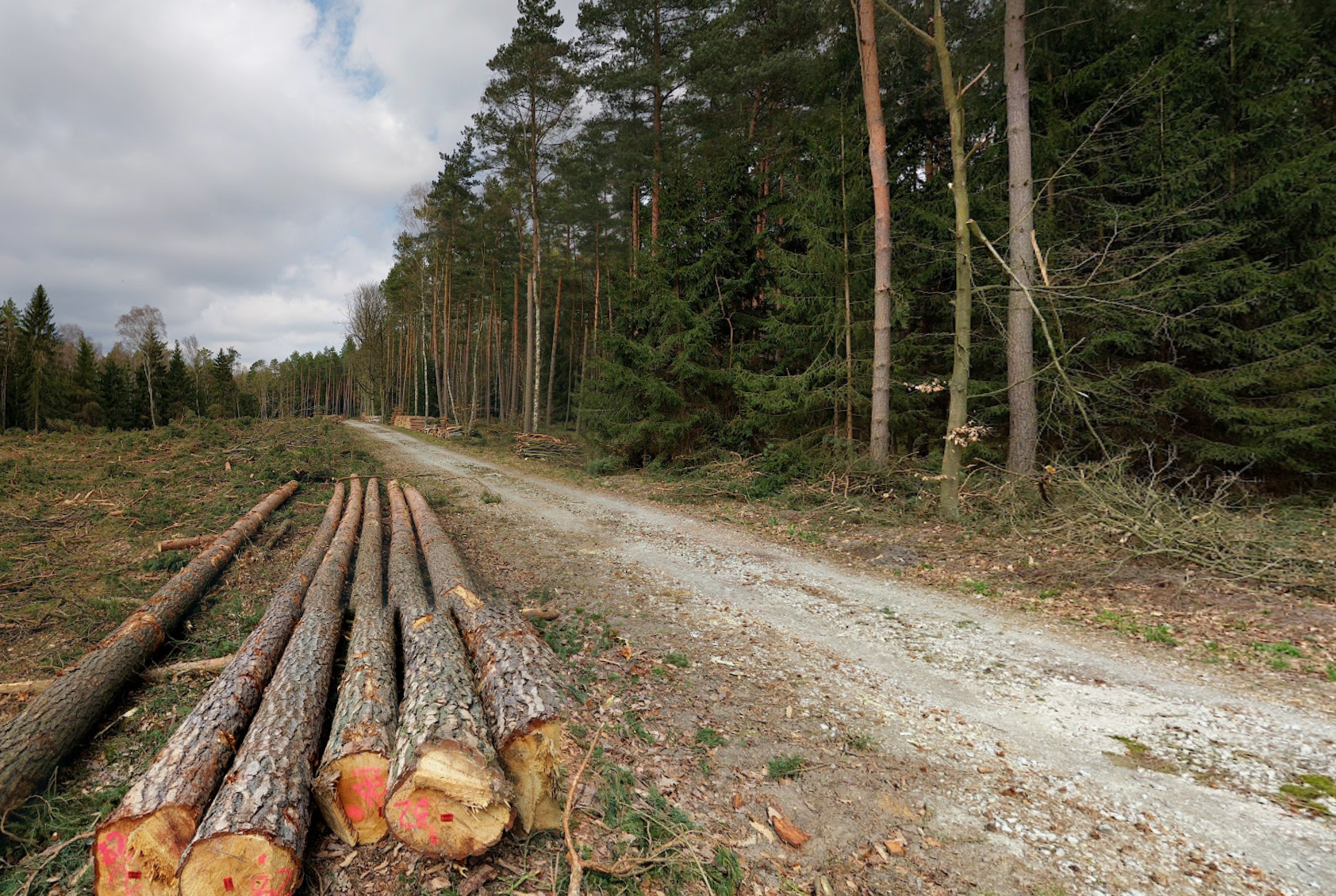 Działka rolna 9400 m² w Tanowie - atrakcyjna cena, piękna okolica, bezpośredni dostęp do drogi