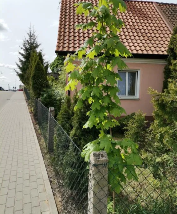 Dom 51 m² w zabudowie bliźniaczej – ogród, sad i potencjał na rozbudowę!